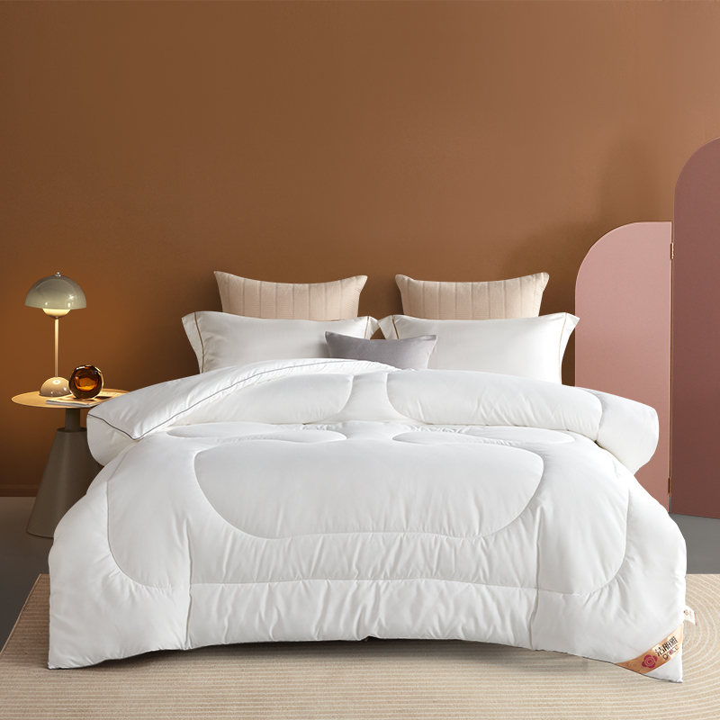 洁丽雅亲肤抗菌被-云朵 200*230cm JLYDB001