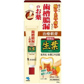 小林制药日本牙周红肿胀牙龈疼萎缩松动止出血涂抹软膏液20g